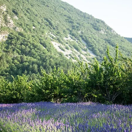 St Roch En Luberon 度假居 Castellet-en-Luberon